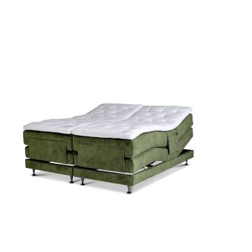Dorbien Green Exclusive Adjustable